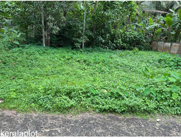 5 cents Residential land For sale Near by peechi Dam-Pattikkad Road