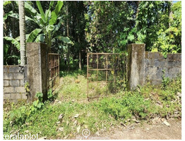 40.25 Cents Residential Land For Sale