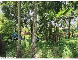 40.25 Cents Residential Land For Sale