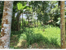 40.25 Cents Residential Land For Sale