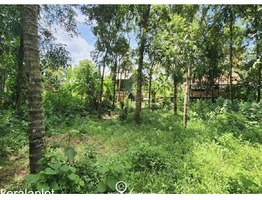 40.25 Cents Residential Land For Sale