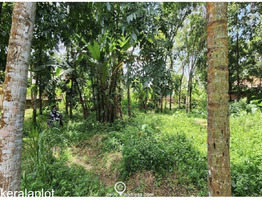 40.25 Cents Residential Land For Sale