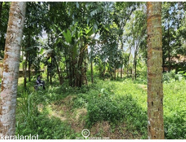 40.25 Cents Residential Land For Sale