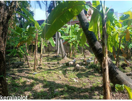 7.87 Cent land for sale behind Kaloor St. antonys Church