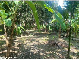 7.87 Cent land for sale behind Kaloor St. antonys Church