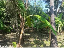 7.87 Cent land for sale behind Kaloor St. antonys Church