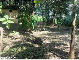 7.87 Cent land for sale behind Kaloor St. antonys Church