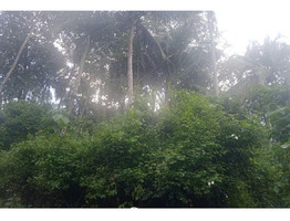 19 cent land for sale Pannor, Mokeri