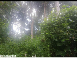 19 cent land for sale Pannor, Mokeri