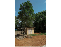 10 cent land With old house for Sale Pavamkulangara Temple