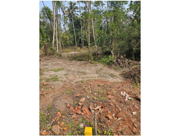 55.5 Cent Land For Sale at Chembu