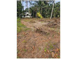 55.5 Cent Land For Sale at Chembu