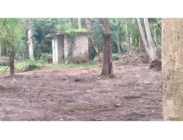 55.5 Cent Land For Sale at Chembu