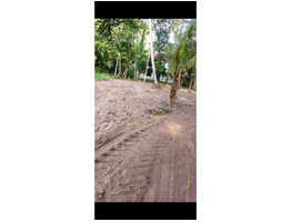 55.5 Cent Land For Sale at Chembu