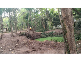 55.5 Cent Land For Sale at Chembu