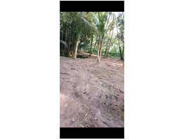 55.5 Cent Land For Sale at Chembu