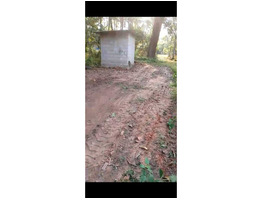 55.5 Cent Land For Sale at Chembu