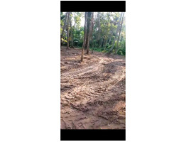 55.5 Cent Land For Sale at Chembu