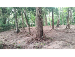 55.5 Cent Land For Sale at Chembu