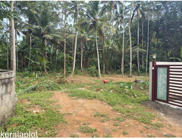 10 cent Residential Land For Sale Vattiyoorkav Kulashekaram Shankaranarayana Temple