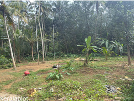 10 cent Residential Land For Sale Vattiyoorkav Kulashekaram Shankaranarayana Temple