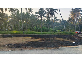 4 cents House plots for sale