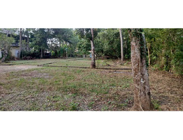 35 Cents Land for Sale at punnapara