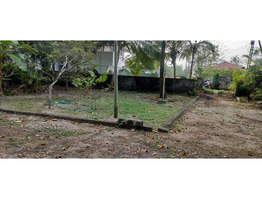 35 Cents Land for Sale at punnapara