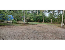 35 Cents Land for Sale at punnapara