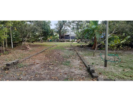 35 Cents Land for Sale at punnapara