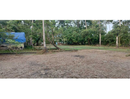 35 Cents Land for Sale at punnapara