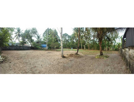 35 Cents Land for Sale at punnapara