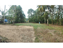 35 Cents Land for Sale at punnapara