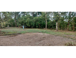 35 Cents Land for Sale at punnapara