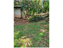 1.29 Acers Agricultural Land For Sale Near by mannuthy
