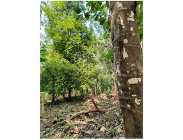 1.29 Acers Agricultural Land For Sale Near by mannuthy