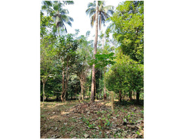 1.29 Acers Agricultural Land For Sale Near by mannuthy