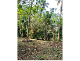 1.29 Acers Agricultural Land For Sale Near by mannuthy