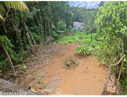 30 cent Land With 4000 Sqft House For sale
