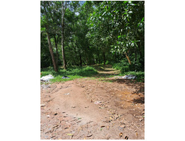 20 Cent land for sale near kakkand infopark