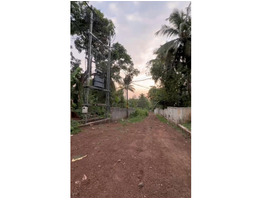 1.3 Acers Land For sale Changaramkulam
