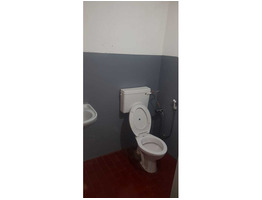 Premium 10 cents plots with House for sale Aluva