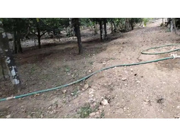 55 cent land for sale near by karukutti