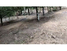 55 cent land for sale near by karukutti