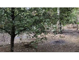 55 cent land for sale near by karukutti