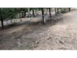 55 cent land for sale near by karukutti