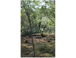70 Cent Land For Sale Near Karyadi, Ukkinadka