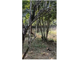 70 Cent Land For Sale Near Karyadi, Ukkinadka