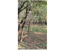 70 Cent Land For Sale Near Karyadi, Ukkinadka