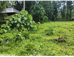 29 cent land for sale Koothattukulam Route